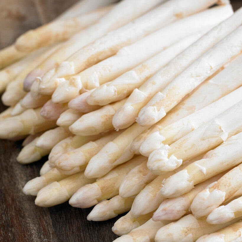 Sparris hvit-Asparagus 'Albus' 2-pakning